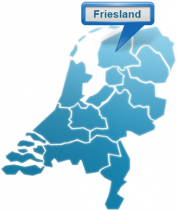 website-laten-maken-in-Friesland