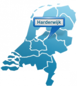 website-laten-maken-in-Harderwijk
