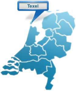 website-laten-maken-in-Texel